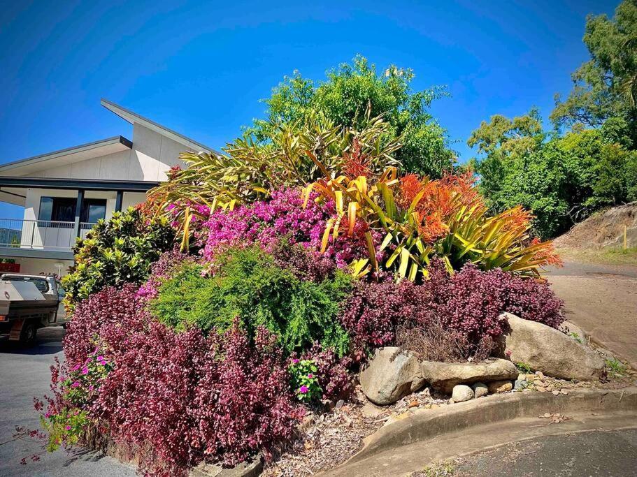 Whitsunday Dreams Apartamento Airlie Beach Exterior foto